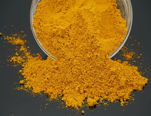 El Fascinante Mundo del Curry: Orígenes, Propiedades y Beneficios para la Salud